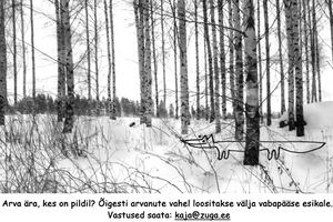 Zuga showing: Zuga teab tõde Zuga showing: Zuga teab tõde