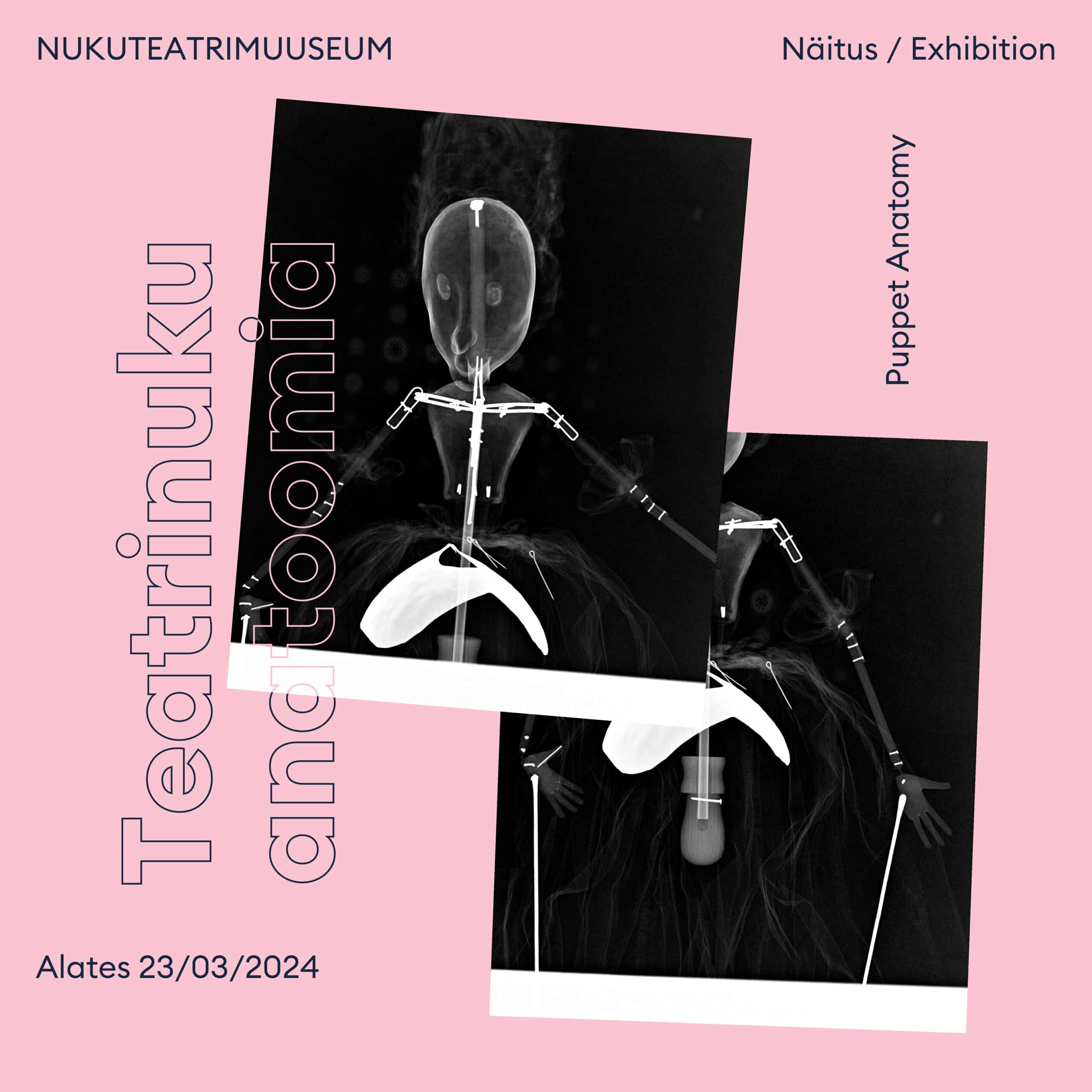 Pildil on roosal taustal kaks mustvalget röntgenfotot nukust, ülaservas on kirjas "NUKUTEATRIMUUSEUM / Näitus / Exhibition" ning allpool "Teatrinuku anatoomia / alates 23/03/2024".