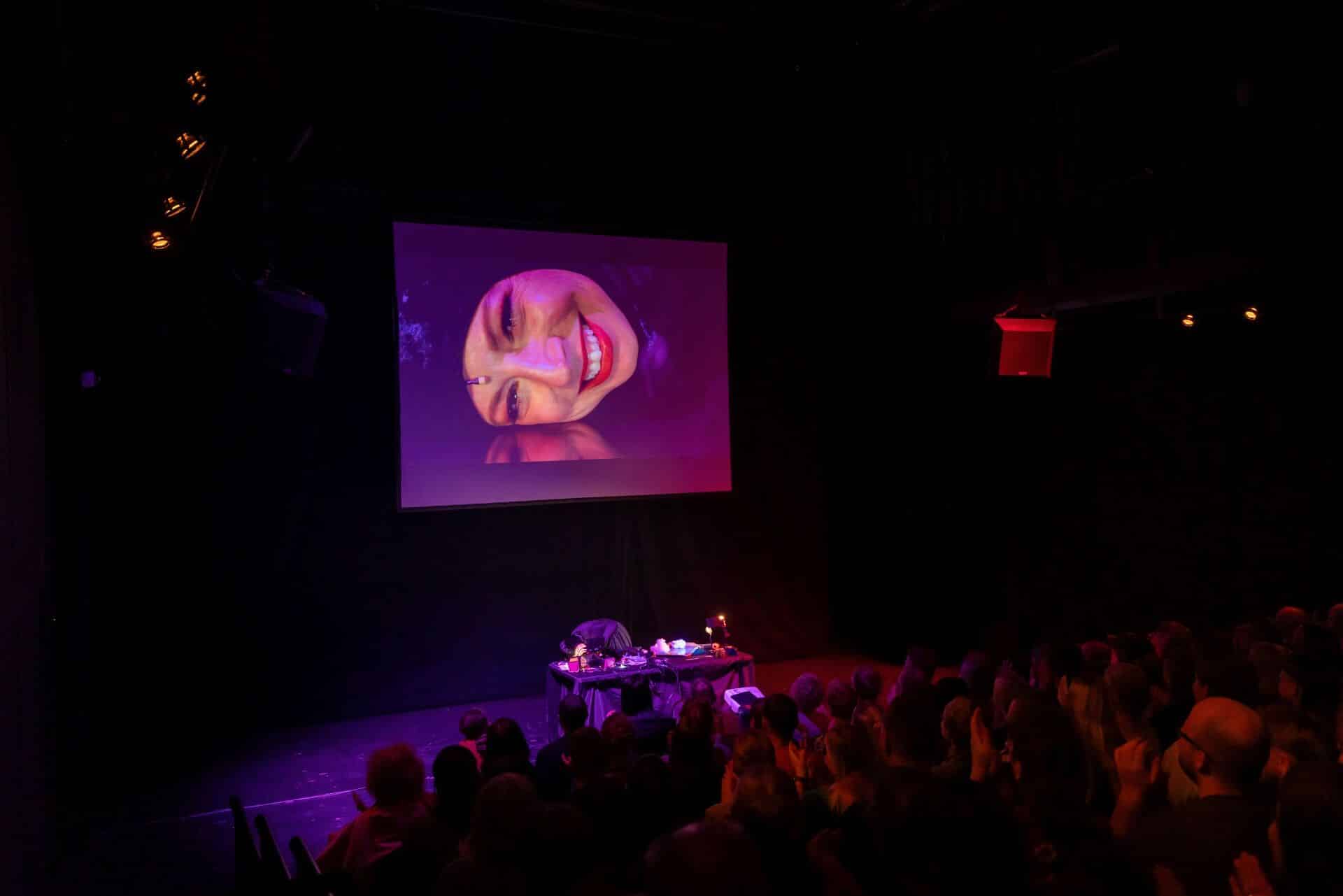 Pildil on Eesti Noorsooteatri väike saal, kus istub publik ja laval on etendaja, kes toetab oma pead lauale. Tema ees on kaamera ning kaamerapilt tema näost on projitseeritud seinale.
