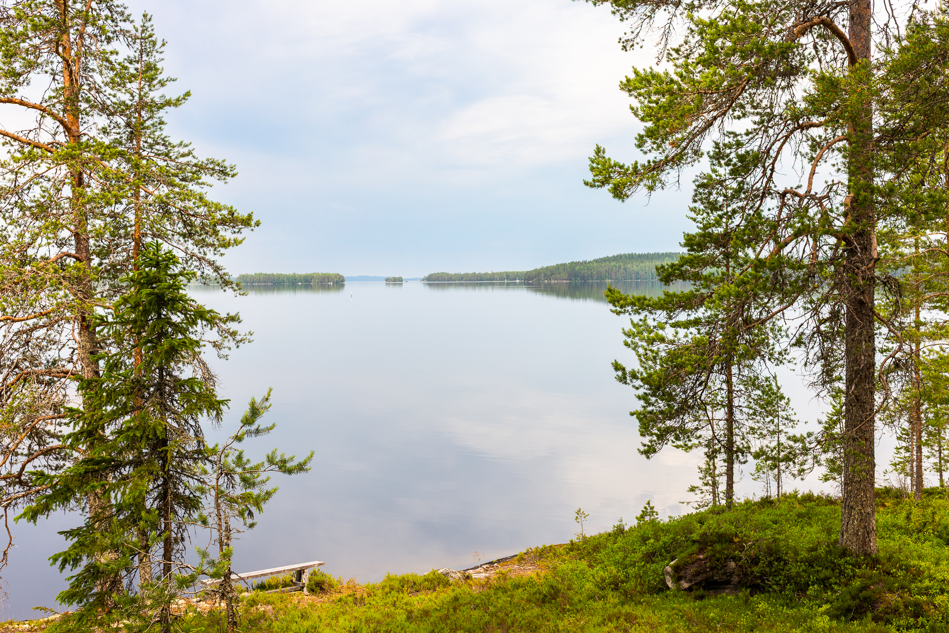 Pildil on vaade sileda veega järvele, mille kaldal kasvavad mõned puud.